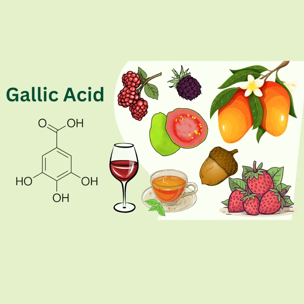 industrial-grade Gallic Acid supplier